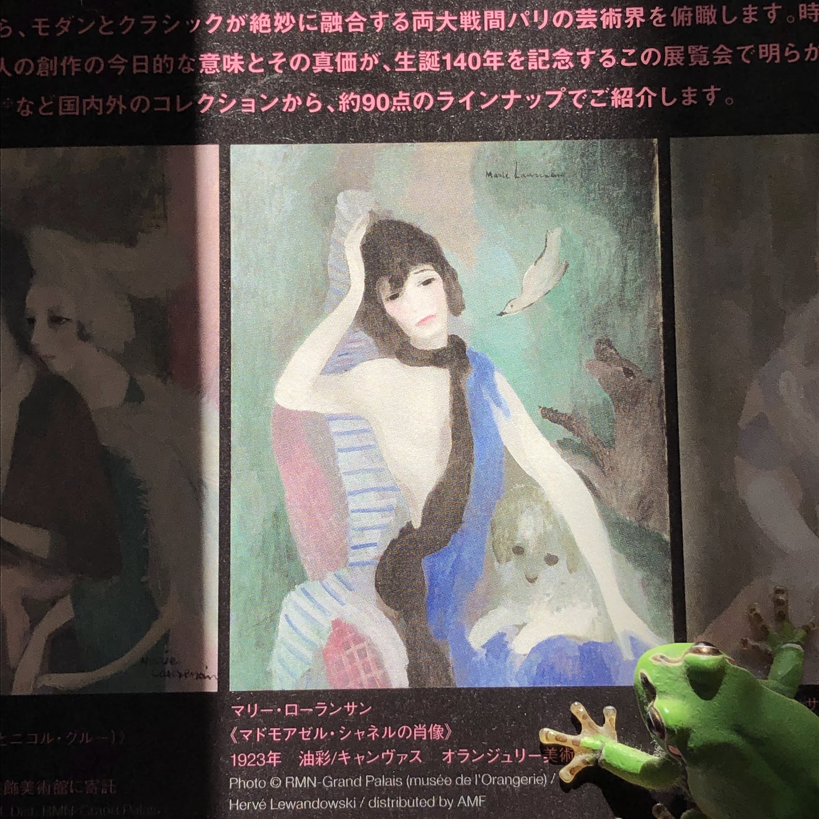 ローランサン、シャネルの肖像、希少な画集画、新品額装付 ローランサン、シャネルの肖像、希少な画集画、新品額装付
